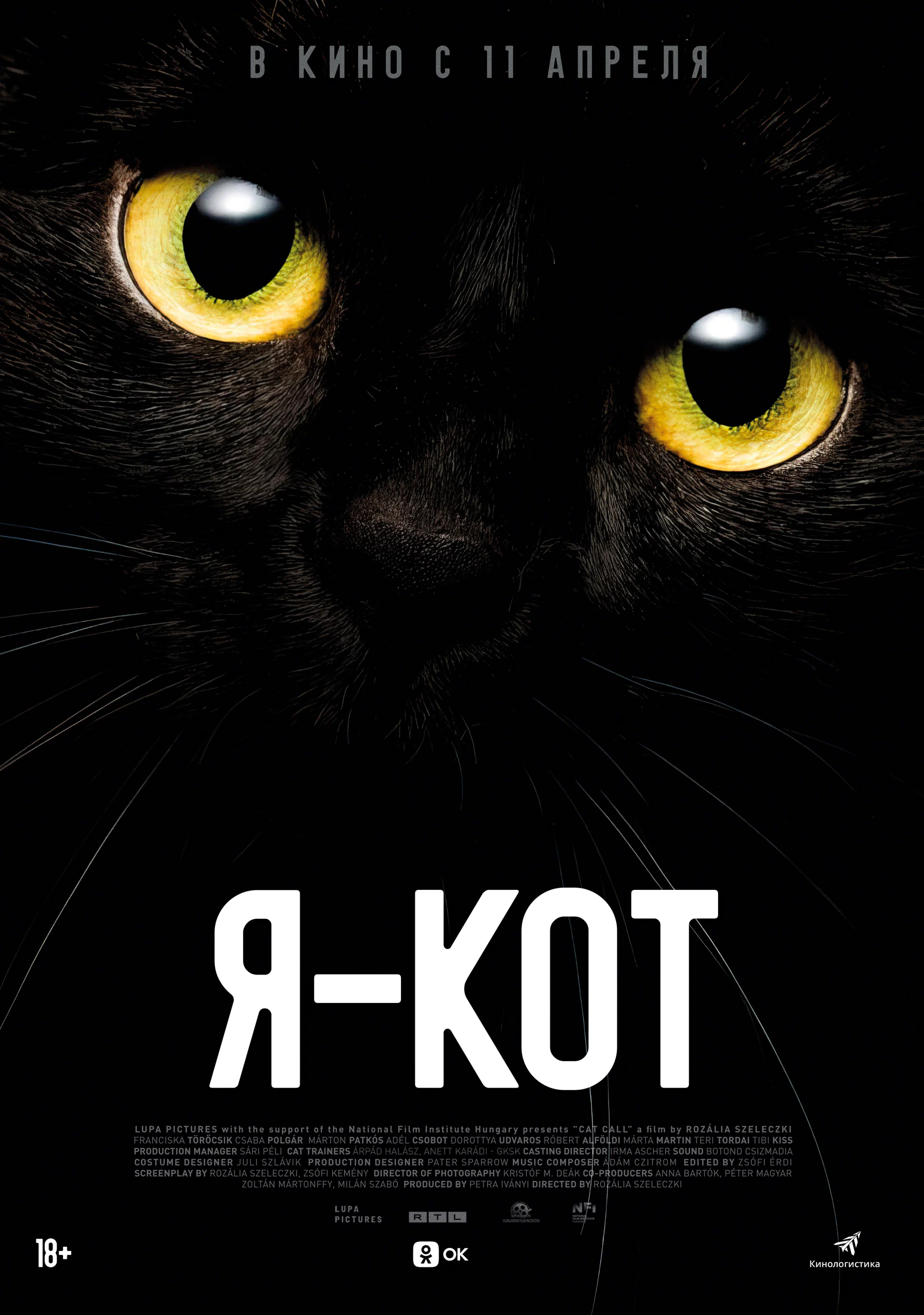 Я — кот смотреть онлайн